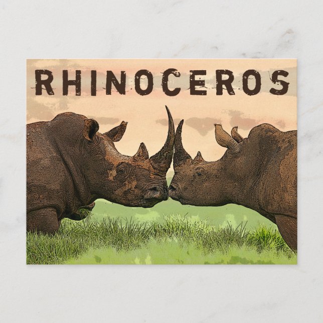 rhinoceros  postcard (Front)
