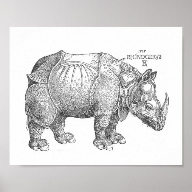 Rhinoceros Print (Front)