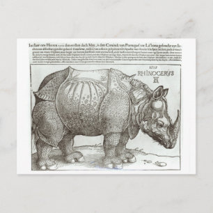 Rhinoceros, print given to Maximilian I (1459-1519 Postcard