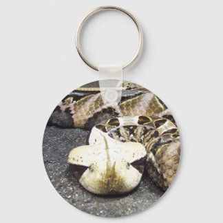 rhinoceros viper key ring