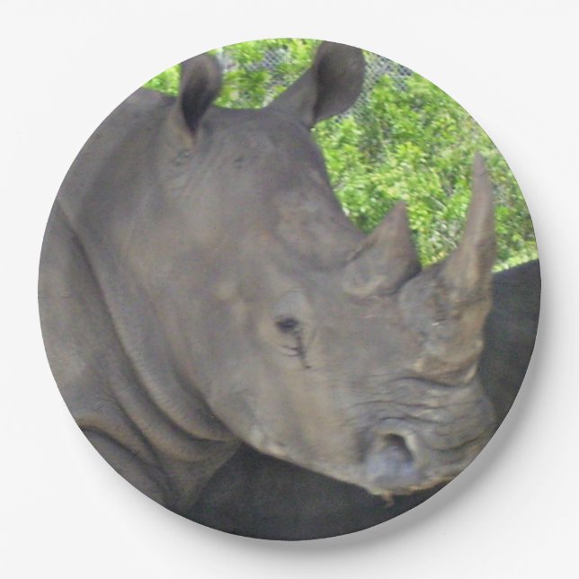 Rhino's Face Paper Plate (Front)