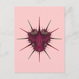 Rhizidio Bug Postcard