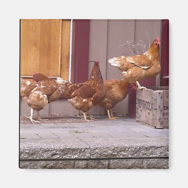 Rhode Island Magnet (Front)