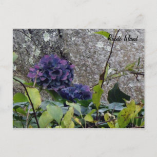 Rhode Island Postcard