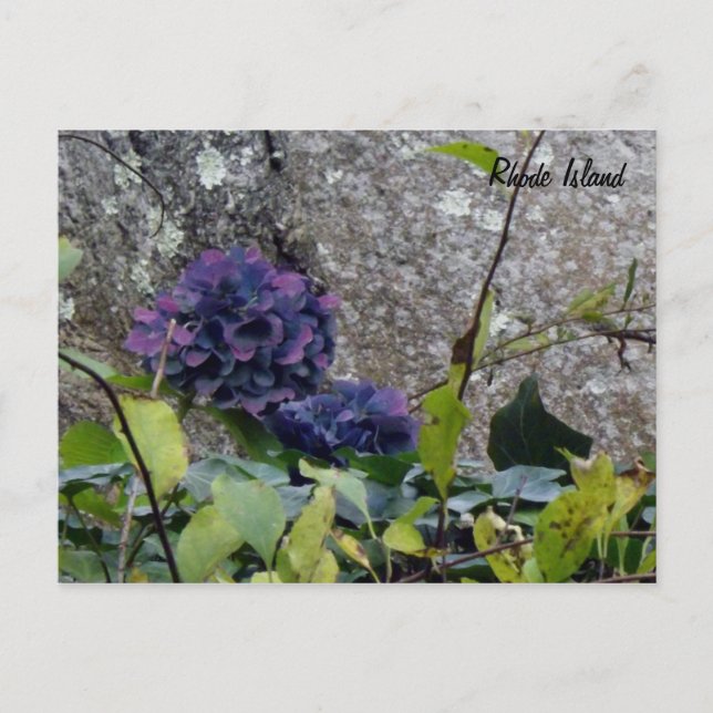 Rhode Island Postcard (Front)