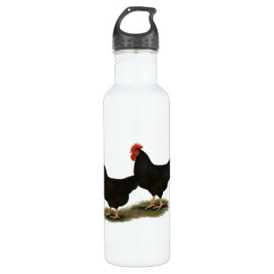 Rhode Island Red Bantams 710 Ml Water Bottle