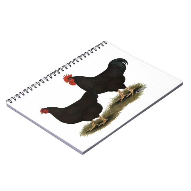 Rhode Island Red Bantams Spiral Notebook (Left Side)