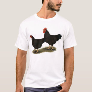 Rhode Island Red Bantams T-Shirt