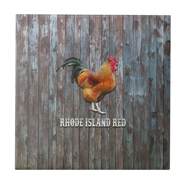 Rhode Island Red Chicken Tile (Front)