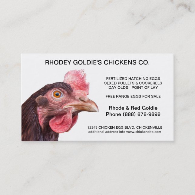 Rhode Island Red Hatchery Laying Hen Chicken Business Card (Front)