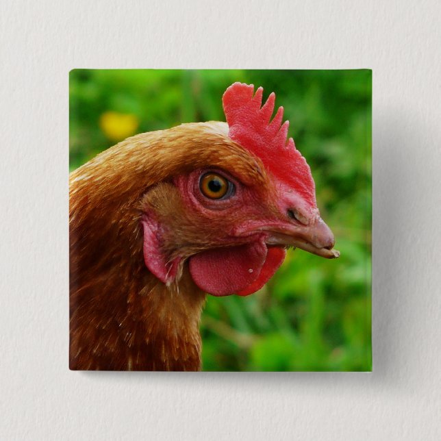 Rhode Island Red Hen 15 Cm Square Badge (Front)