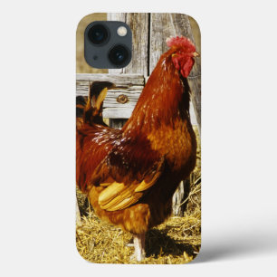 Rhode Island Red Rooster iPhone 13 Case