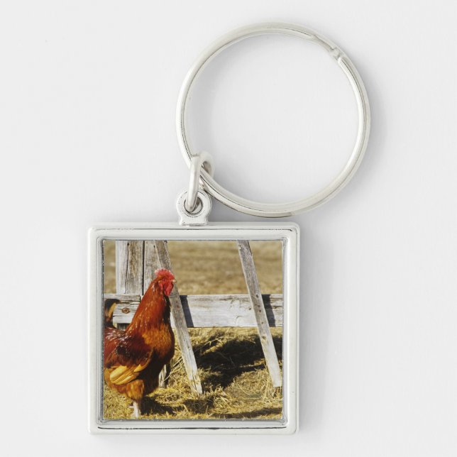 Rhode Island Red Rooster Key Ring (Front)