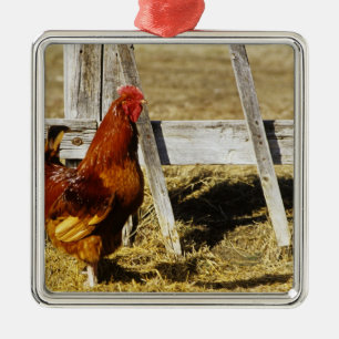 Rhode Island Red Rooster Metal Tree Decoration