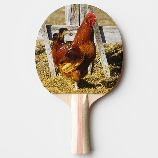 Rhode Island Red Rooster Ping Pong Paddle (Front)
