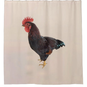 Rhode Island Red Rooster Shower Curtain