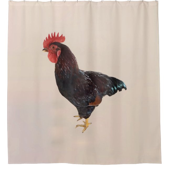Rhode Island Red Rooster Shower Curtain (Front)