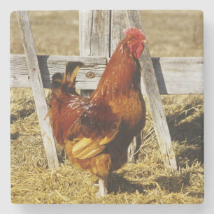 Rhode Island Red Rooster Stone Coaster