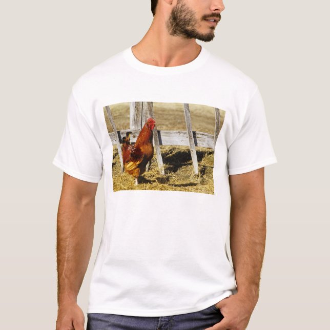 Rhode Island Red Rooster T-Shirt (Front)