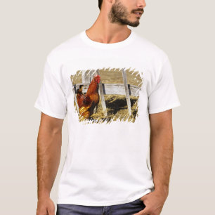 Rhode Island Red Rooster T-Shirt