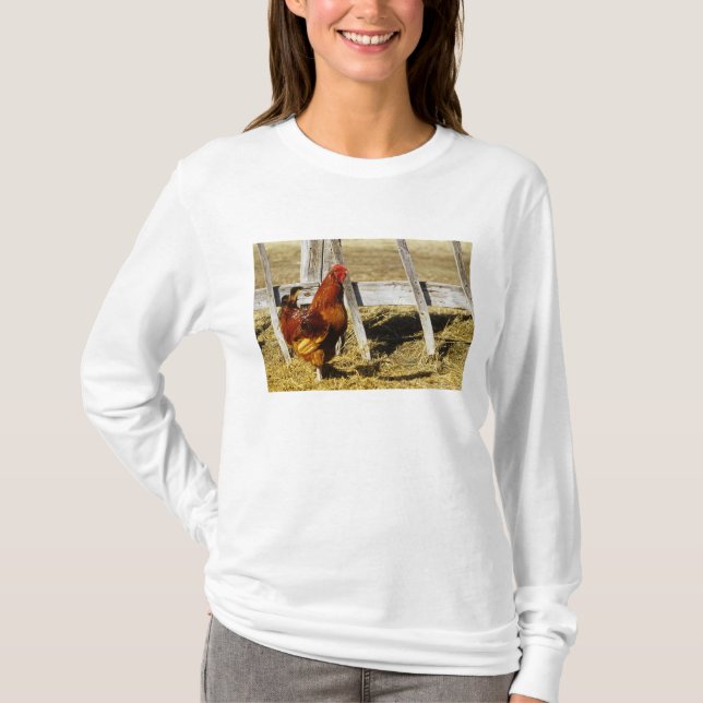Rhode Island Red Rooster T-Shirt (Front)