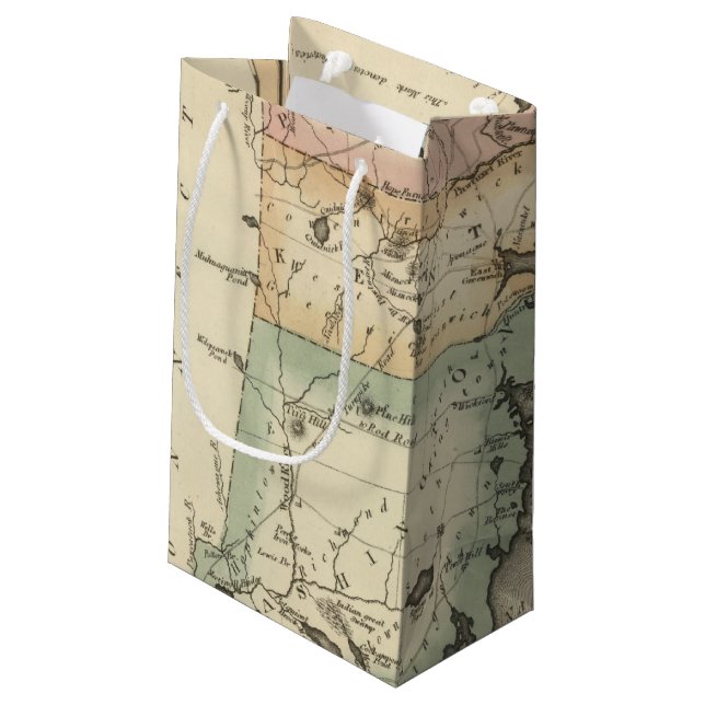 Rhode Island Small Gift Bag (Back Angled)