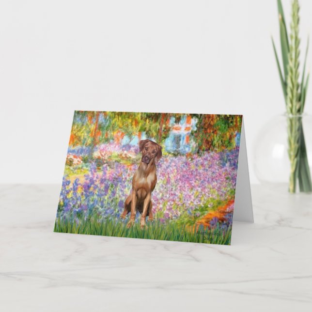 Rhodesian Ridgeback 1 - Garden Card (Front)
