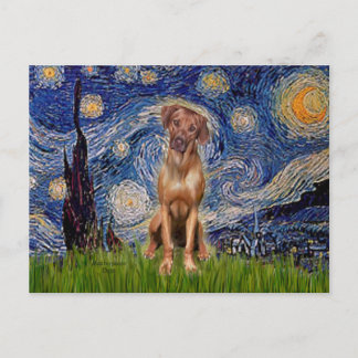 Rhodesian Ridgeback 1 - Starry Night Postcard