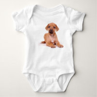 Rhodesian Ridgeback baby creeper