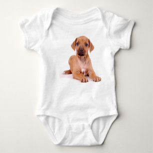 Rhodesian Ridgeback baby creeper