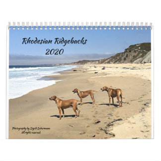 Rhodesian Ridgeback Calendar 2020