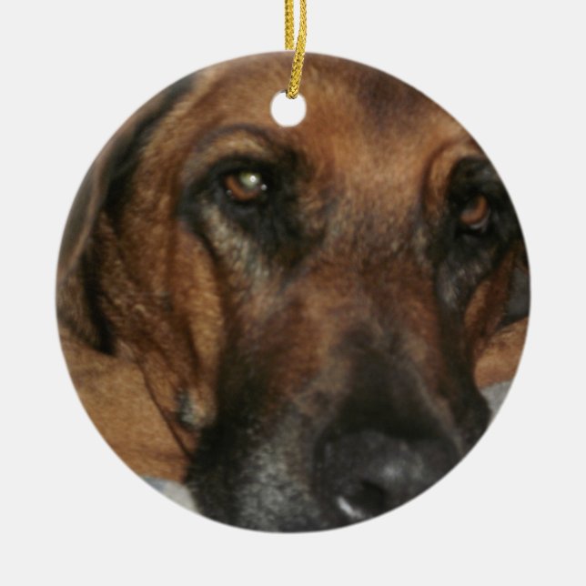 Rhodesian Ridgeback Ceramic Tree Decoration (Front)