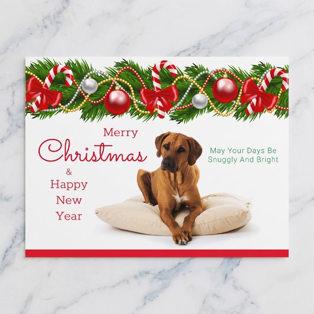 Rhodesian Ridgeback Christmas Postcard (Rhodesian Ridgebacks make the season bright.)