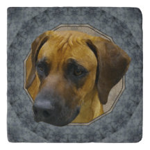 Rhodesian Ridgeback Classical Stone Trivet