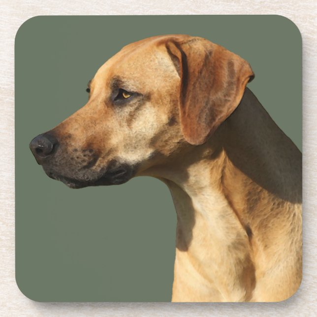 Rhodesian Ridgeback Coaster (Front)