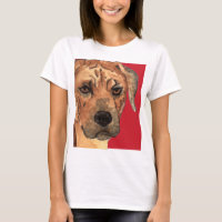 Rhodesian Ridgeback Colour Block