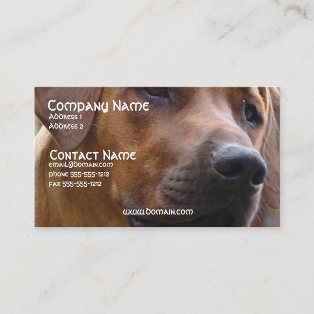 Rhodesian Ridgeback Dog Business Card (Front)