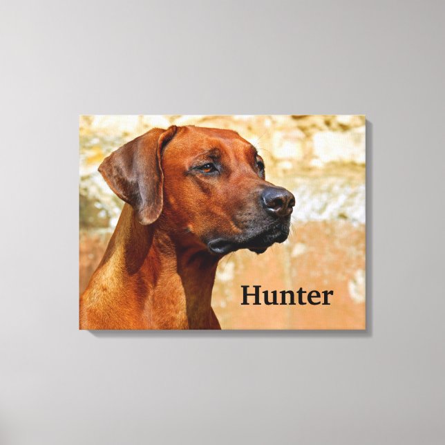 Rhodesian Ridgeback Dog Canvas Print (Front)