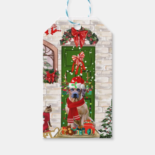 Rhodesian Ridgeback Dog Christmas  Gift Tags (Front)