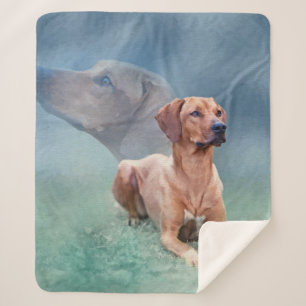 Rhodesian Ridgeback Dog Collage Sherpa Blanket