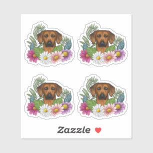 Rhodesian Ridgeback Dog Head And Colourful Flowers