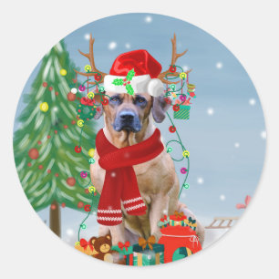 Rhodesian Ridgeback Dog in Snow Christmas Gift   Classic Round Sticker