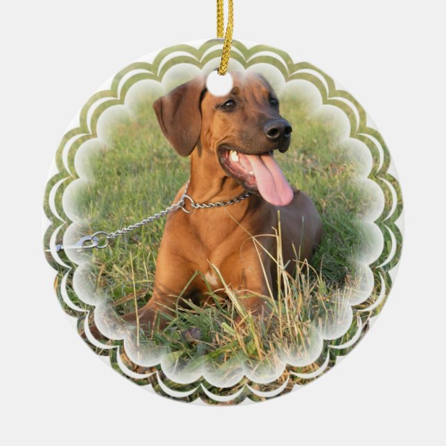Rhodesian Ridgeback Dog Ornament (Front)