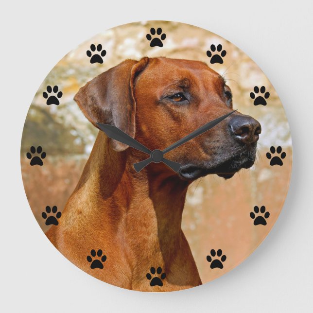 Rhodesian Ridgeback Dog Paw Print Time Large Clock (Front)