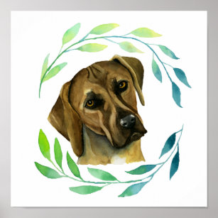 Rhodesian Ridgeback Dog with a Wreath Watercolor Poster