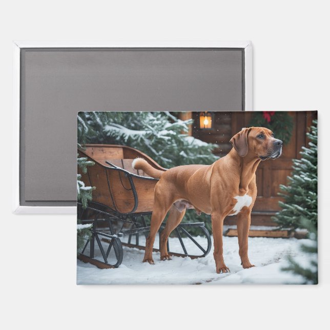 Rhodesian Ridgeback Festive Holiday Christmas Magnet (Front/Back)