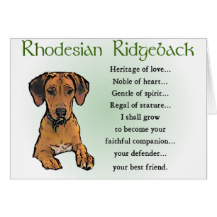 Rhodesian Ridgeback Gifts