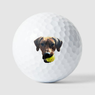Rhodesian Ridgeback Golf Balls