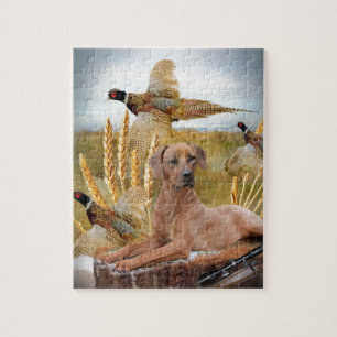 Rhodesian Ridgeback Hunts Jigsaw Puzzle