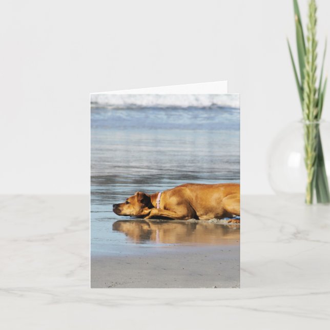 Rhodesian Ridgeback - Is the Water Cold? Card (Front)
